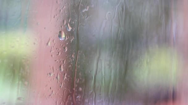 Closeup Video Raindrops Water Window Glass — Stock Video