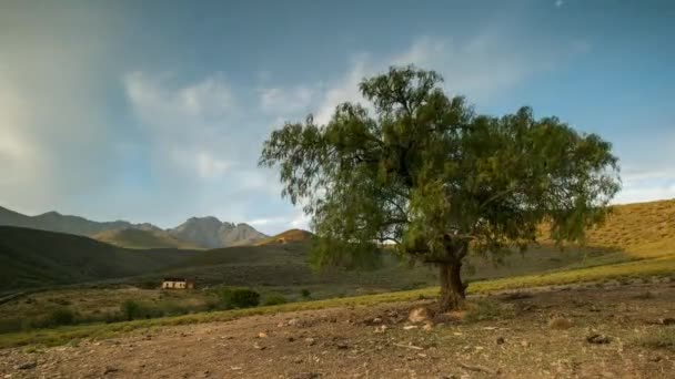 Time Lapse Klip Kamannasie Regionu Jižní Afriky Téměř Městě Uniondale — Stock video