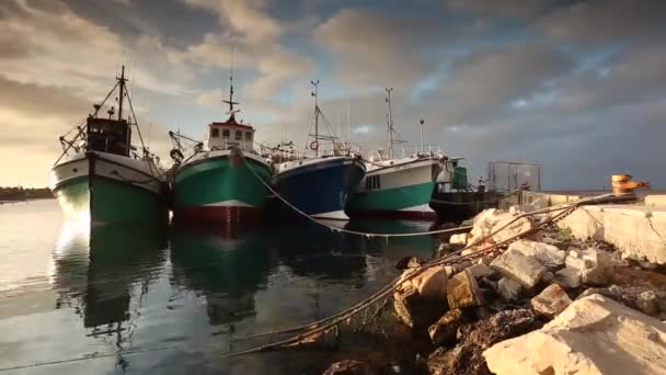 Wunderschöne Fischerboote Hafen Von Gansbaai Mit Schönem Sonnenuntergang Der Overberg — Stockvideo