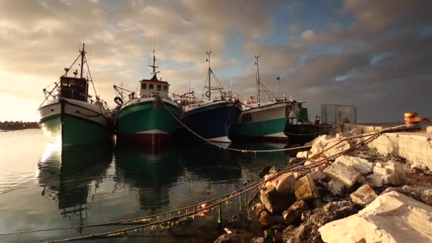 Hermosos Barcos Pesca Amarrados Puerto Gansbaai Con Bastante Puesta Sol — Vídeo de stock