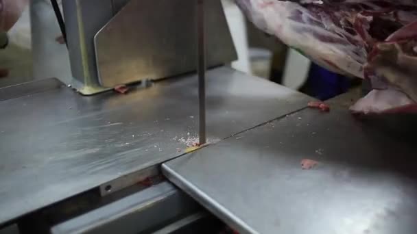 Macellaio Maschio Che Taglia Carne Macelleria — Video Stock