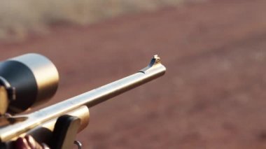 Yüksek güç av tüfek Güney Afrika'da avcılık çiftlikte ateş olmak vurdu