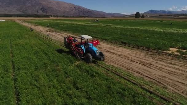 Letecký Pohled Traktoru Sunny Době Pracuje Zelené Louce — Stock video