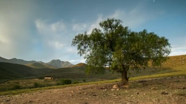 Time Lapse Κλιπ Στην Περιοχή Kamannasie Της Νότιας Αφρικής Κοντά — Αρχείο Βίντεο