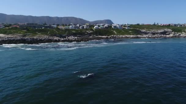 Luftaufnahme über gansbaai — Stockvideo