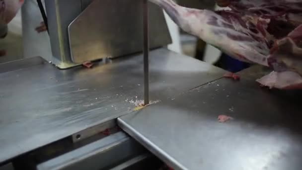 男性肉屋精肉店で肉を切る — ストック動画