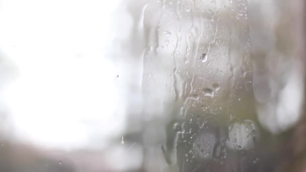 Närbild Video Regndroppar Och Vatten Fönsterglas — Stockvideo