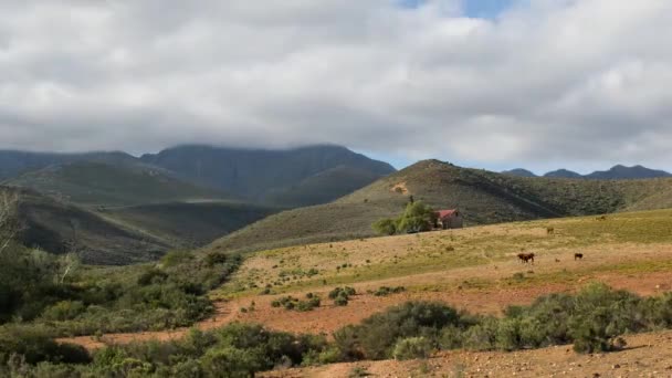 Clip Lapso Tiempo Región Kamannasie Sudáfrica Cerca Ciudad Uniondale Karoo — Vídeo de stock