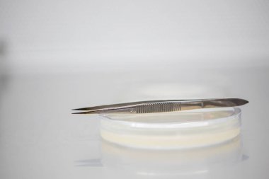 Aşıları ve ilaçları virüs ve DNA için test etmek için kullanılan laboratuvar araçlarının resmini kapat