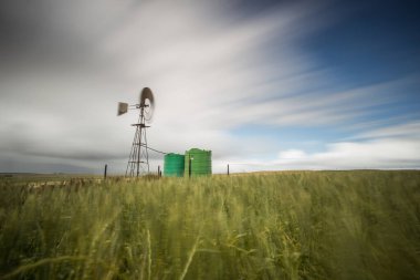 Güney Afrika 'nın batısındaki Karoo' da bir yel değirmeni manzarası.