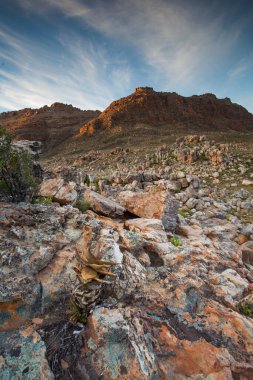 Güney Afrika 'nın batısındaki Cederberg Dağları' nın geniş açılı manzara görüntüleri.
