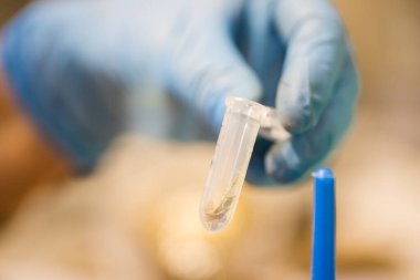 Aşıları ve ilaçları virüs ve DNA için test etmek için kullanılan laboratuvar araçlarının resmini kapat