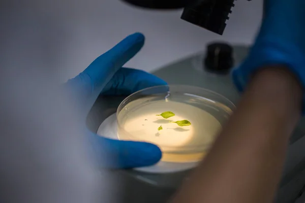 Close up image of laboratory instruments being used to test vaccines and drugs for viruses and DNA