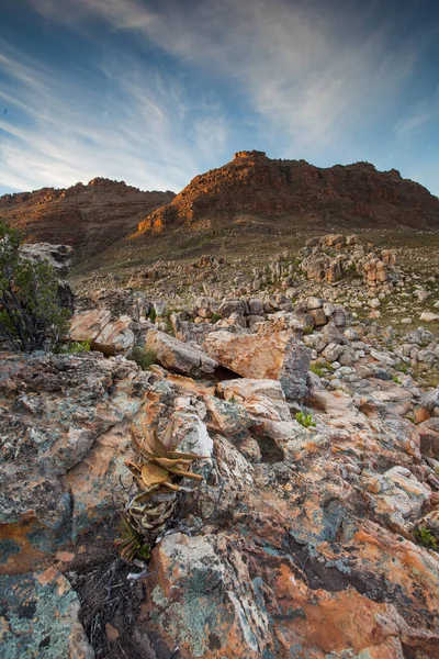 Imágenes Panorámicas Gran Angular Las Montañas Cederberg Cabo Occidental Sudáfrica — Foto de Stock