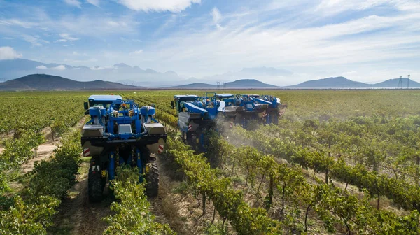 Foto Aerea Delle Vendemmiatrici Che Raccolgono Uva Nelle Terre Vinicole — Foto Stock