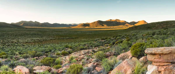 Güney Afrika 'nın batısındaki Twinsrivier' in hemen dışındaki karoo ovalarının geniş açılı panoramik manzarası.
