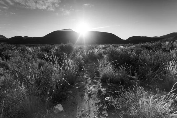 位于南非西部海角外的卡鲁平原上的广角全景 — 图库照片