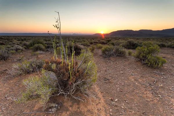 Širokoúhlý Výhled Pláně Tankwa Karoo Provincii Severní Kapsko Jižní Africe — Stock fotografie