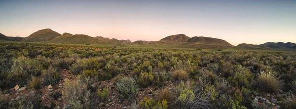 Vista Panorâmica Ângulo Largo Sobre Planícies Karoo Apenas Fora Touwsrivier — Fotografia de Stock