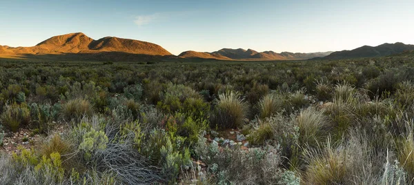 Amplia Vista Panorámica Del Ángulo Sobre Las Llanuras Del Karoo — Foto de Stock