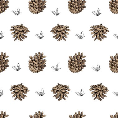 Çam kozalakları üzerinde beyaz bir arka plan ile Seamless modeli. Vektör. 