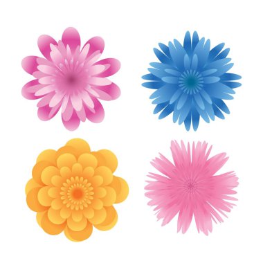 Güzellik parlak çiçek