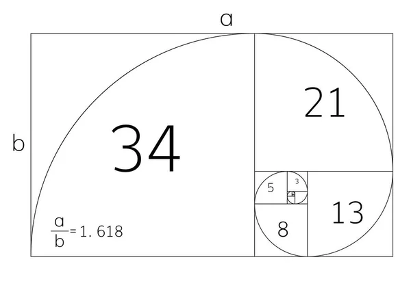 Proportions de section de ration d'or — Image vectorielle