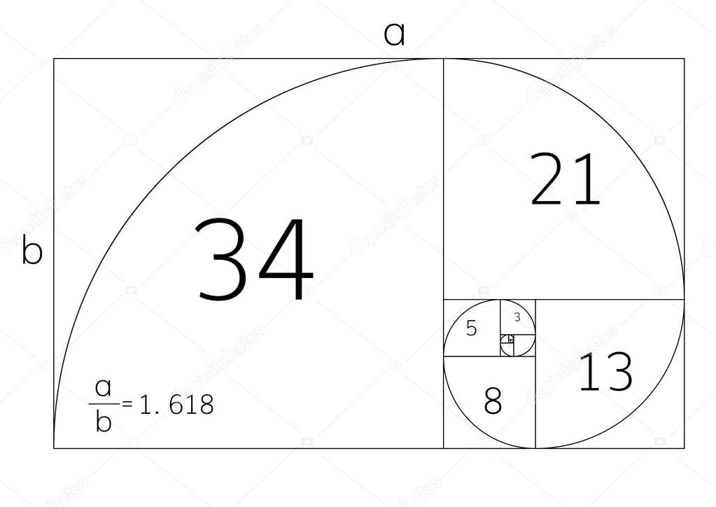 Golden ration section proportions 