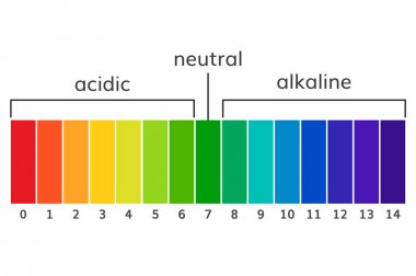 Grafik ph alkali ve asidik ölçek vektörü