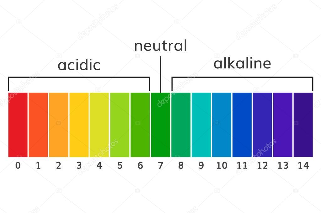 Chart ph alkaline and acidic scale vector