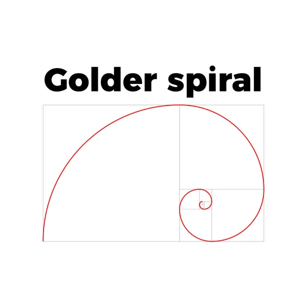 Sezione rapporto aureo — Vettoriale Stock