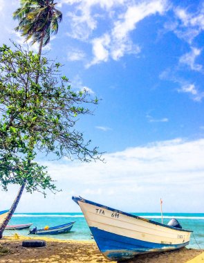 Gökyüzünde özgür