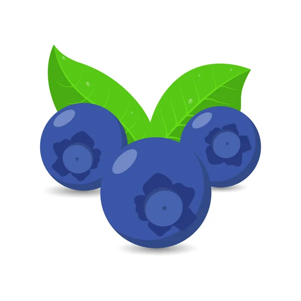 Illustration Fruits Aux Bleuets Vecteur Fruits Frais — Image vectorielle
