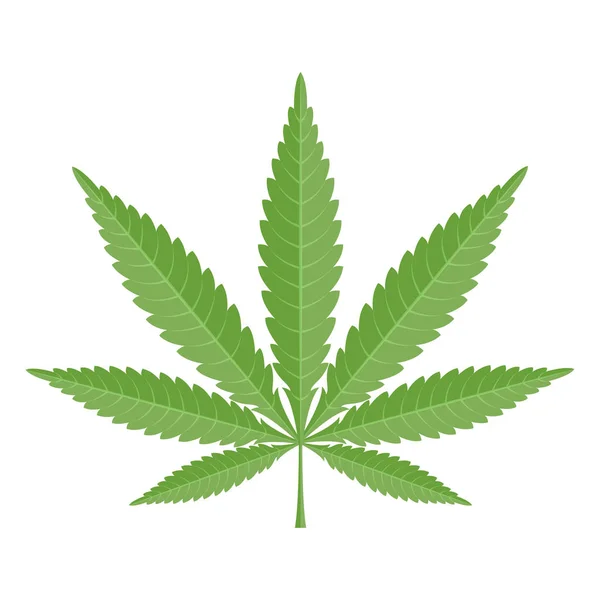 Maconha Cannabis Folha Ilustração Vetor — Vetor de Stock