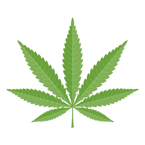Marihuana Kenevir Yaprak İllüstrasyon Vektörü