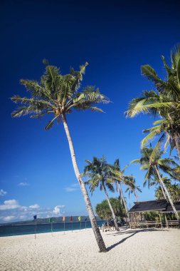 Puka plaj tropikal cennet boracay Filipinler