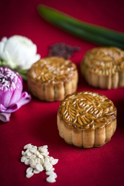 geleneksel Çin şenlikli mooncake pasta tatlı