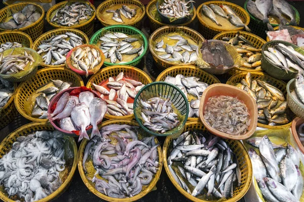 xiamen Çin taze balık ve deniz ürünleri piyasa ahır görüntüleme 