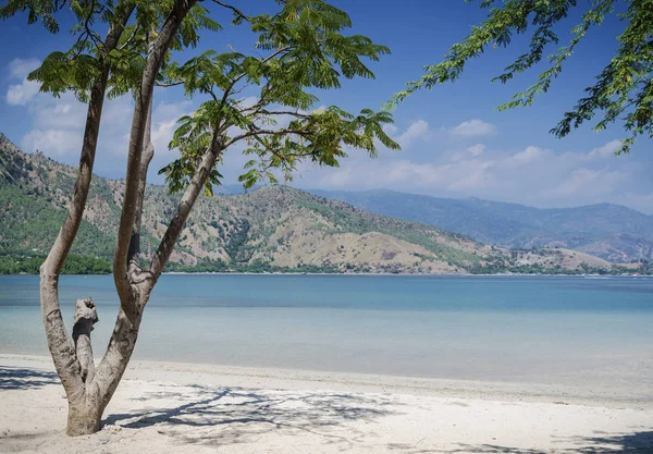 Areia branca tropikalnej plaży widok w pobliżu dili w Timorze Wschodnim — Zdjęcie stockowe