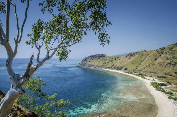 Vista sulla costa e sulla spiaggia vicino a dili a timor est leste — Foto Stock