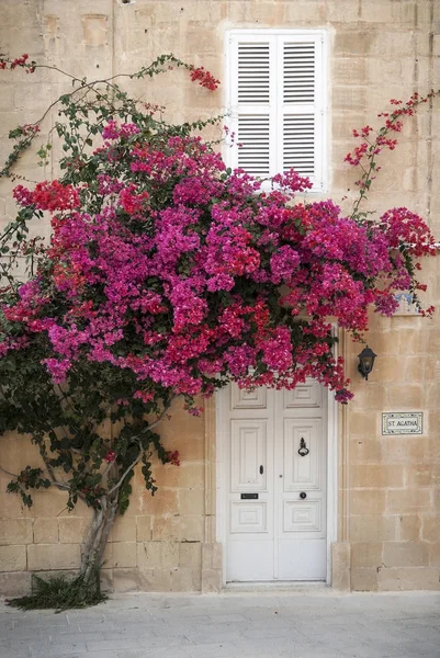 Detalhe da arquitetura da porta em mdina cidade velha de rabat malta — Fotografia de Stock