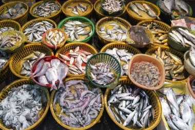 xiamen Çin taze balık ve deniz ürünleri piyasa ahır görüntüleme 