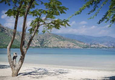 dili, Doğu timor yakınındaki areia branca tropikal plaj manzarası