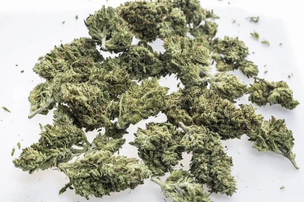 Медицинская марихуана конопли почки крупным планом на белом фоне студии — стоковое фото
