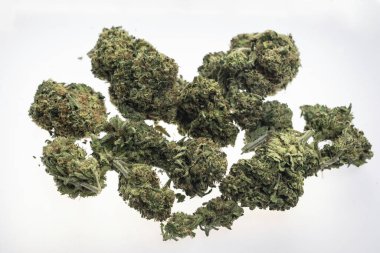 Biz tıbbi marihuana esrar tomurcukları Kaliforniya 'daki beyaz stüdyo geçmişine yakın çekim yapıyoruz.