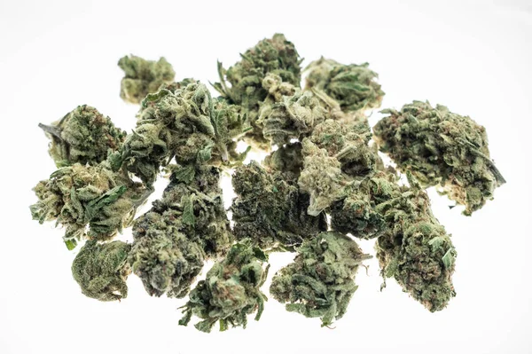 Marihuana Medicinal Brotes Cannabis Primer Plano Fondo Blanco Estudio California —  Fotos de Stock