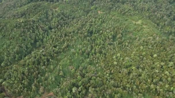 Floresta no sul do Chile — Vídeo de Stock