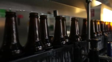 Bira şişe Konveyör bant