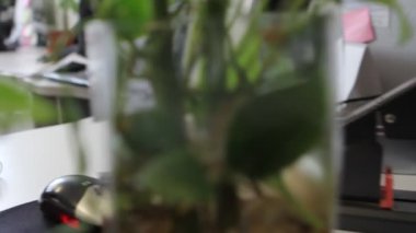 Belgeleri gözden geçirilmesi kişi