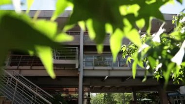 Ağaçların arkasında Üniversitesi merdiven